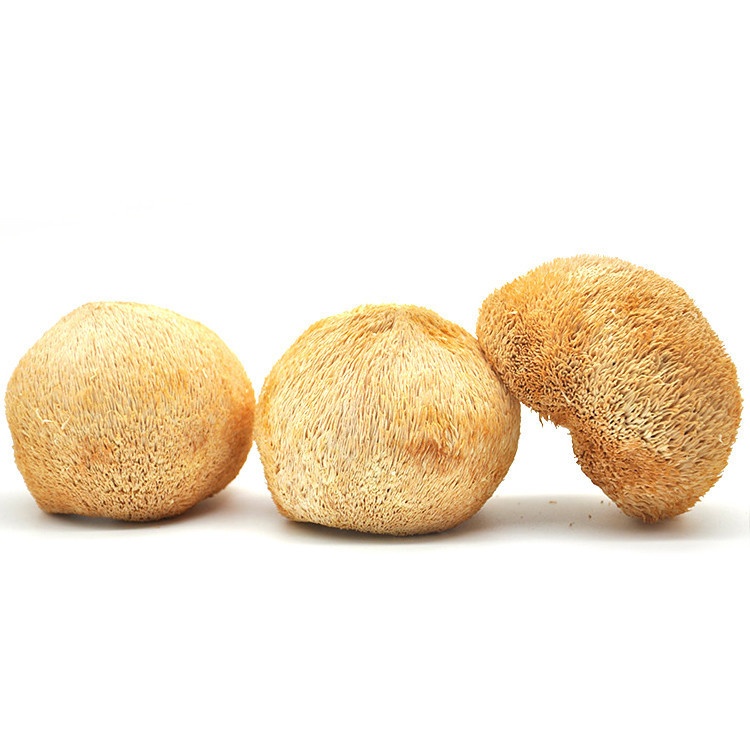 Wholesale The Rare Edible Dried Lions Mane Mushroom & Dried Hericium Erinaceus Mushroom