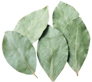 Foglie di <span class=keywords><strong>alloro</strong></span> naturali foglie di <span class=keywords><strong>alloro</strong></span> essiccate <span class=keywords><strong>foglia</strong></span> di <span class=keywords><strong>alloro</strong></span> di alta qualità - Product Image 5