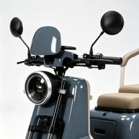 Scooter électrique à quatre roues à faible vitesse avec phares LED, double siège, pour personnes âgées, avec panier avant