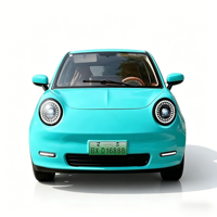 Véhicule électrique à faible vitesse à 4 roues fabriqué en Chine, type fermé, 5 portes, 5 places, 3000W, mini SUV avec une autonomie de 60-120 km