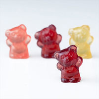 מיי 100kg אוטומטי פקטין gummie ביצוע מכונת gummie ייצור מכונה