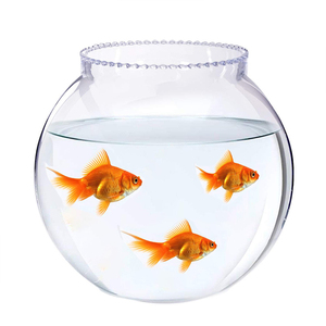 Verre transparent pas cher d'usine pour votre décoration de bureau, mini vase rond pour <span class=keywords><strong>poisson</strong></span> <span class=keywords><strong>rouge</strong></span> - Product Image 5
