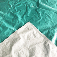 Bâche en PE de haute qualité 100 % imperméable pour camion, couverture de chargement, bâche en plastique PE, fabricant de bâches, prix de la bâche