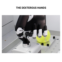 Mano Robótica Antropomórfica Doingwin RH56BFX con Transmisión de 5 Dedos y Movimiento Ágil Diseñada para Robótica Humanoide