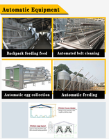 Équipement d'élevage avicole automatique de type A, très demandé, neuf, pour l'élevage de poules pondeuses africaines, 3-5 niveaux