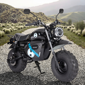 Motocicleta Todoterreno de Alta Calidad de 1500 W y 60 V para Adultos, con Batería de Litio, 40-60 km/h, Certificación CE - Product Image 1