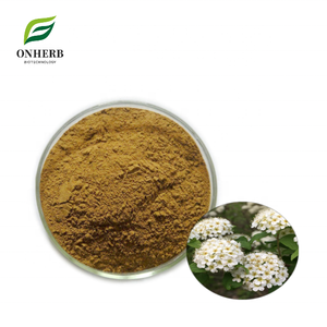 工場供給100%天然有機スパイレアサリシフォリアエキス99%スパイレアエキス粉末 - Product Image 1