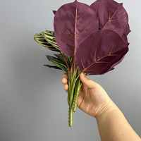 Plantes, feuilles de taro, feuilles de pomme, feuilles d'eucalyptus, vert de Thanksgiving, aménagement paysager intérieur et extérieur, décoration de la maison, fleurs
