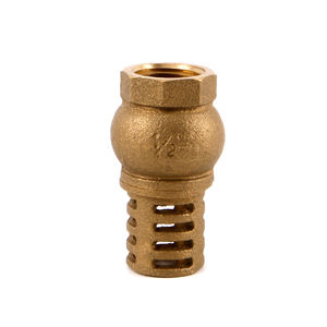 バルブメス糸1/2 "-4" 真鍮の足弁ストレーナー - Product Image 1