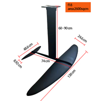 Sports de surf sur l'eau fibre de carbone F18 grande lame 2600 m² mât en aluminium fuselage surboard wingfoil dock start foil hydrofoil