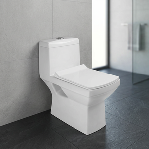 WC en céramique monobloc White Dragon, à chasse d'eau S-trap, pour l'Éthiopie, Sanitaire - Product Image 2