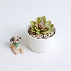 Vaso di fiori succulento in ceramica a basso cilindrico bianco Casual moderno vaso traforato traspirante smaltato per ufficio casa creativa cm - Product Image 2