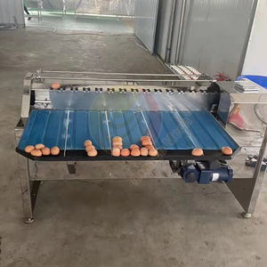 Trieuse automatique d'œufs de poule, classez la taille, trieuse à petite échelle triez la Machine à œufs par poids - Product Image 3