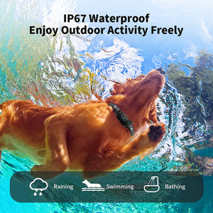 <span class=keywords><strong>Collar</strong></span> antiladridos recargable con pantalla a Color de nuevo lanzamiento, collares de Control, <span class=keywords><strong>collar</strong></span> antiladridos para perros - Product Image 6