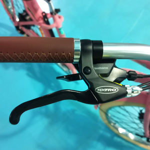 OEM Urban <b>Ebike</b> 26inch Step Through Bike 500 Watt Motor for Women ATV OEM Urban <b>Ebike</b> 26inch Step Through Bike - Product Image 4