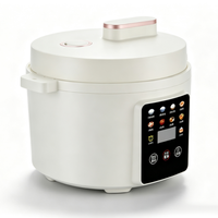 Autocuiseur Électrique Multifonction OEM 110V/220V Cylindrique 3L avec Contrôle Numérique par Minuteur, Cuisson Rapide et Système de Maintien au Chaud pour Hôtels et Usage Domestique