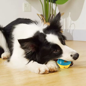 Juguete Masticable para Perros TPR Más Vendido, Pelota Chillona - Pelota Interactiva para Limpiar los Dientes y Alimentar, Resistente para Masticadores Agresivos - Product Image 5