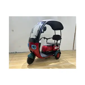 High Quality Electric Tricycle Mini Tricycle Electric Bike With Rain Cover