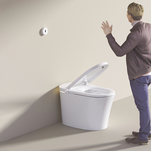 Thông Minh Nhà Vệ Sinh Bồn Tắm Phụ Kiện Thiết Lập Điều Khiển Từ Xa Sàn Gắn Bằng Đá Cẩm Thạch Phòng Tắm Phụ Kiện Bao Gồm Cảm Biến Chân Xả Nước Tay - Product Image 3