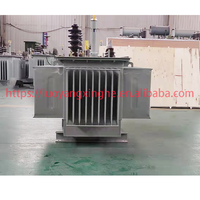 Transformateur de puissance immergé dans l'huile triphasé à bobine toroïdale S11 200 KVA 400KVA 630KVA 11Kv 6KV, abaisseur de tension 11kv