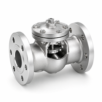 Vanne anti-retour à battant H44W CF8 Classe 150 NPT BSP pour l'industrie pétrolière et gazière, vanne de pipeline industrielle pour l'huile et le gaz
