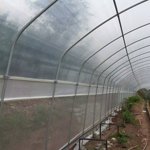 8X60M Gegalvaniseerd Stalen Frame Tunnel Huis Agrarische Kas - Product Image 3