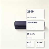 A4 열전사 프린터 USB 타입 C 203DPI 2600mAh 휴대용 A4 프린터 워드 엑셀 PDF TXT PPT 모바일 프린터 크리스마스 선물