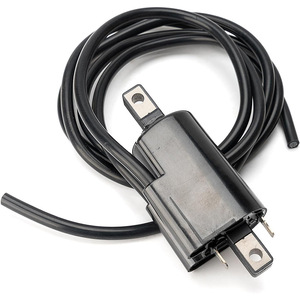 Bobina de encendido SeaDoo 278000383 para modelos GSI GSX GTI GTS GTX, pieza de repuesto - Product Image 2