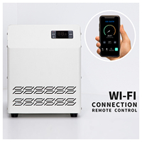 Refroidisseur de bain de glace portable DF Mini 1/3hp 460W en acier inoxydable, double tension, refroidi à l'eau, pompe WiFi, facile à utiliser, professionnel