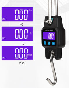 WeiHeng WH-C06 300KG USB 충전식 LCD 디지털 크레인 스케일 전자 계량 저울 ABS 플라스틱 용기 인증 - Product Image 2