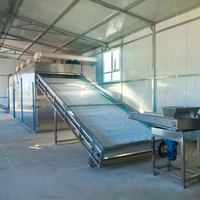Doorlopende Banddroger Voor Ui Chili Gember & Knoflook-Fruit-En Plantaardige Dehydratatieapparatuur