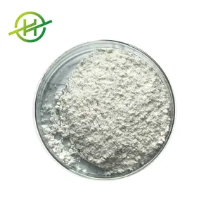 Organic Zero Calorie Sugar Organic Stevia Extract Powder 98% 100%