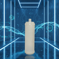Cartouche filtrante à membrane d'ultrafiltration Socket, fibre PAN, filtration 0,01 μm, boîtier PP de qualité alimentaire, conserve les minéraux