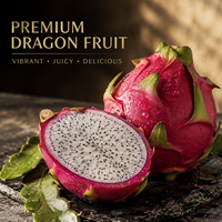 Chinese verse rode/witte drakenvrucht, rijk aan vitamine C, zoete verfrissende smaak, 300-700g, 5kg/10kg doos, bulk export naar Nederland