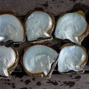 5 pouces naturel jaune nacre (MOP) artisanat matières premières stock d'usine lavé aspect naturel - Product Image 1