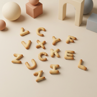 Lot de biscuits personnalisables en gros pour l'apprentissage interactif des tout-petits : biscuits lettres de l'alphabet et biscuits durs