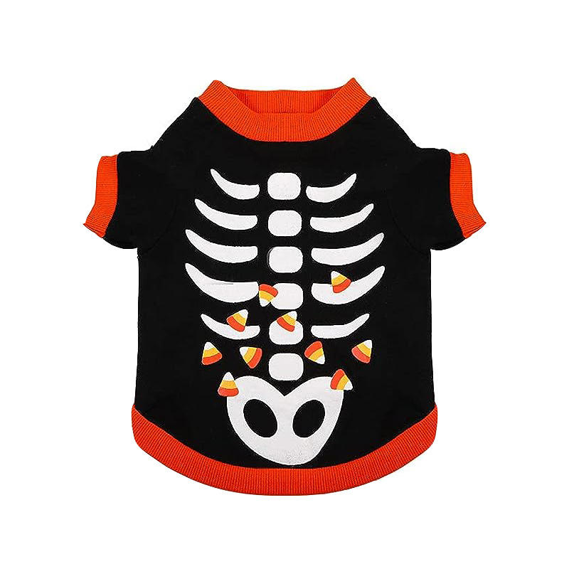 กะโหลกศีรษะ