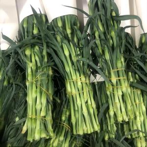 Fleurs en vrac <span class=keywords><strong>de</strong></span> carnations et <span class=keywords><strong>de</strong></span> lys coupées fraîches 100% naturelles multicolores, 1 tige, export, pour la décoration <span class=keywords><strong>de</strong></span> la maison et des fêtes - Product Image 2