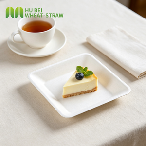 <span class=keywords><strong>Assiette</strong></span> à dessert en bagasse de canne à sucre 6x6 pouces, sans PFAS, écologique, jetable, <span class=keywords><strong>carrée</strong></span>, pour gâteaux, OEM - Product Image 1