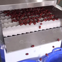 Dadels Wasmachine Jujube Borstelroller Wasmachine Jujube Palm Stomerij Polijstmachine