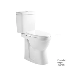 Dekat bersama tanpa bingkai toilet WC menonaktifkan lantai dipasang difabel kenyamanan tinggi kamar kecil 2 buah Inodoro
