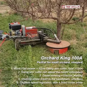 Orchard Swing Arm Flail Mower Walk Behind - Vineyard Mower Undervine Mowing Machine - Orchard King 100A
