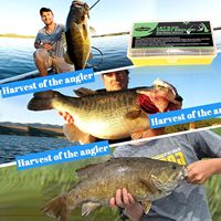 Kit de pêche 322 pièces : leurres souples Spinner Baits/Jig/Frog, hameçons en acier inoxydable, poids, boîte à pêche pour eau douce et achigan