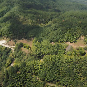 Planification des zones panoramiques - Product Image 4