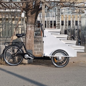 <span class=keywords><strong>Bicicleta</strong></span> eléctrica de carga con cesta, venta al por menor, 3 ruedas - Product Image 2
