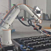Sistema de Soldadura Robótica Industrial DREAMON con Brazo Robótico, Visión Láser, Construcción de Acero Inoxidable, Caja de Cambios y Motor