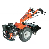 Bcs Cultivateur Rotatif Mini Power Tiller Ridger Charrue Charrue Hiller Furrower