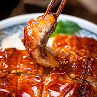 Diepvries Unagi Kabayaki Gegrilde Paling Met Gelijkmatige Glaze-Bedekking Goudbruin Magere Versie HACCP Gecertificeerd Vacuüm Verpakt Restaurant Leverancier Bulk