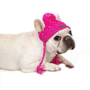 럭셔리 스포츠 개인 코튼 솔리드 크로 셰 뜨개질 개 및 고양이 겨울 모자-크리스마스 선물 - Product Image 1