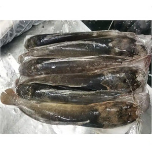 Bagre Fresco Congelado al por Mayor, <span class=keywords><strong>Precio</strong></span> de Exportación de Bagre Negro Entero - Product Image 2